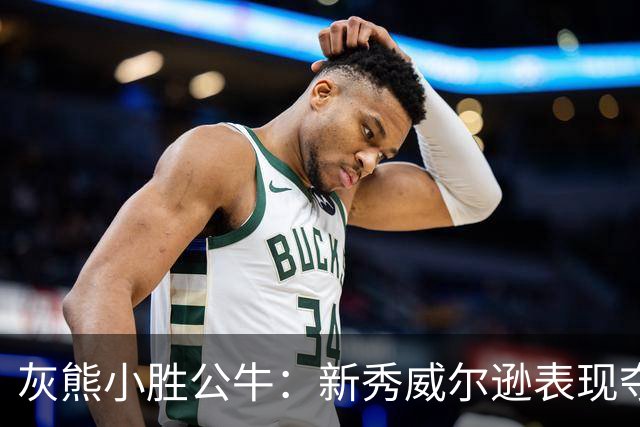 灰熊小胜公牛：新秀威尔逊表现夺目，灰熊反扑取胜